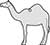 Plain Top Hole Image Camel Domedary Standing