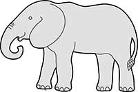 Elephant Comic Main Image