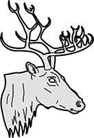Deer Stag Head Main Image