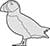 Puffin Standing Seabird