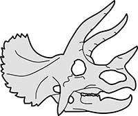 Triceratops Skeleton Head Main Image