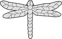 Dragonfly with Detail Style A Main Image