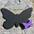 Chalk Blackboard Butterfly Style B - view 1