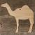 Image TH Camel Domedary Standing