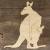 Image TH Kangaroo with Joey
