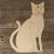 Image TH Cat Sitting
