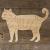 Main Image Tabby Cat Standing