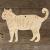 Image TH Tabby Cat Standing