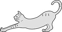 Cat Tabby Stretching Main Image