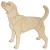 Main Image White No Hole Image Beagle Standing Side On