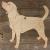 Image TH Beagle Standing Side On