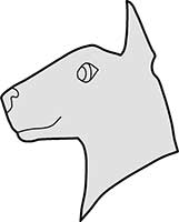 English Bull Terrier Dogs Head Main Image