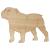 Main Image White No Hole Image Dog English Bulldog Standing