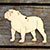 3mm Ply Dog English Bulldog Standing