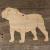 Image TH Dog English Bulldog Standing