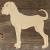 Main Image Boxer Dog Standing