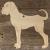 Image TH Boxer Dog Standing