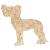 Main Image White No Hole Image Dog Chinese Crested Standing