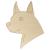 Main Image White No Hole Image Dogs Chihuahua Head