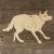 Image TH Collie Dog Standing