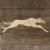 Dog Greyhound Racing Running