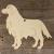 Image TH Golden Retriever Dog Standing