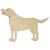 Main Image White No Hole Image Labrodor Dog Standing