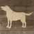 Image TH Labrodor Dog Standing