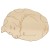 Main Image White No Hole Image Dog Curled Up Mongrel