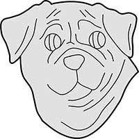 Dog Pug Head Main Image