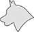 Plain Image Dog Siberian Husky Head
