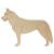 Main Image White No Hole Image Dog Siberian Husky Standing