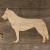 Main Image Dog Siberian Husky