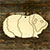 3mm Ply Guinea Pig