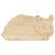 Main Image White No Hole Image Hamster Golden Walking