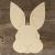 Main Image Rabbit Face