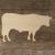 Main Image Bull Plain Standing Side View
