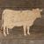 Image TH Cow Standing