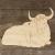 Image TH Oxen Resting