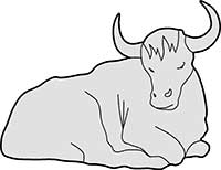 Oxen Resting Main Image