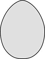 Chicken Egg Main Image
