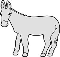 Donkey Standing  Main Image