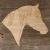 Main Image Horse Head Arabian