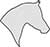 Plain Image Horse Arabian Head
