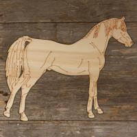 Horse Arabian Standing Main Image