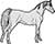 Horse Arabian Standing - view 1