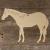 Image TH Horse Standing Simple