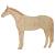 Main Image White No Hole Image Horse Thoroughbred Standing