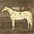 3mm Ply Horse Thoroughbred Standing