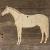 3mm Ply Horse Thoroughbred Standing